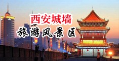 草骚穴网站中国陕西-西安城墙旅游风景区